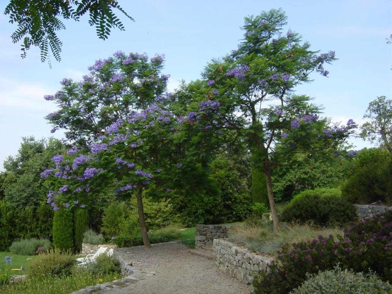 Ca Landreu Ecoturisme Villa Tiana Exterior photo